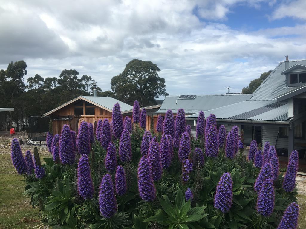 Bruny Island Lodge South Bruny المظهر الخارجي الصورة